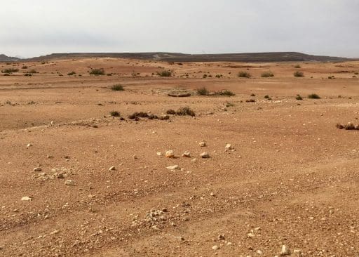 Hard to see in the distance, but a tall crane and wide road for large earth moving equipment top the horizon.