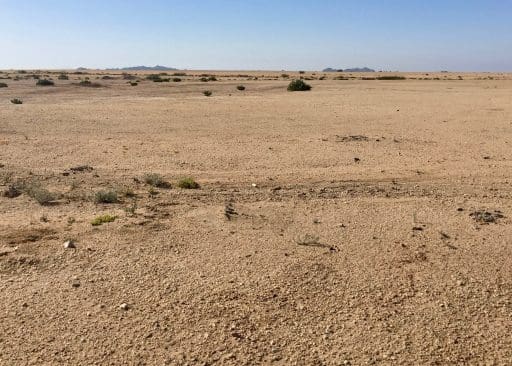 You can see the tops of two ranges over the horizon. Their bases are down in the canyons I'm heading for. If you zoom in on the horizon itself, you'all see a few Springbok keeping a close eye on me.