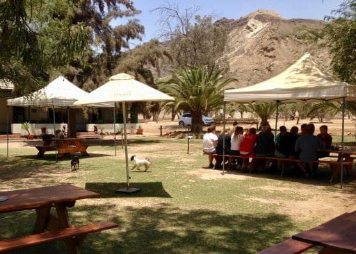 Outdoor seating for breakfast and lunch, with dogs and farm animals to entertain.