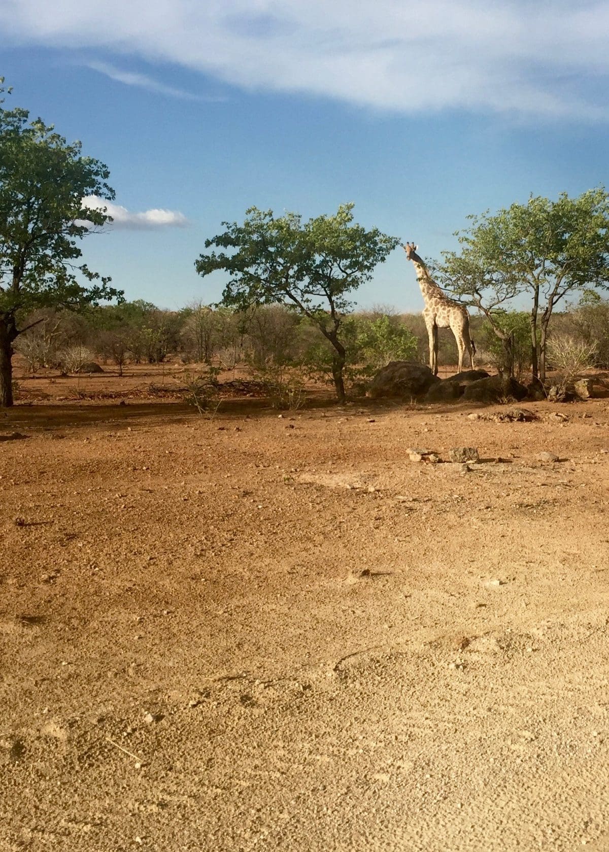 Images of Life in Namibia