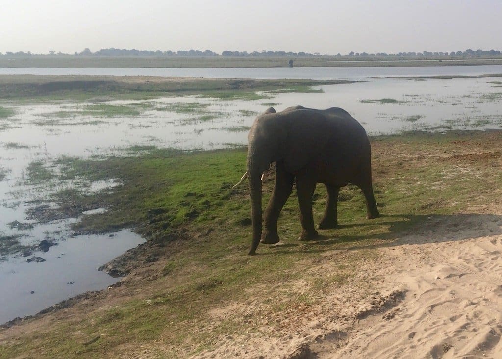 Zambezi, Chobe and Victoria Falls