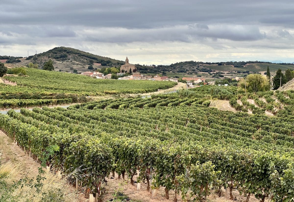 Camino Francés 2022 Days 9-14: Logroño to Burgos