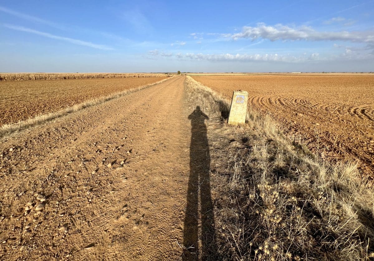 Camino Francés 2022 Days 15-23: Burgos to León