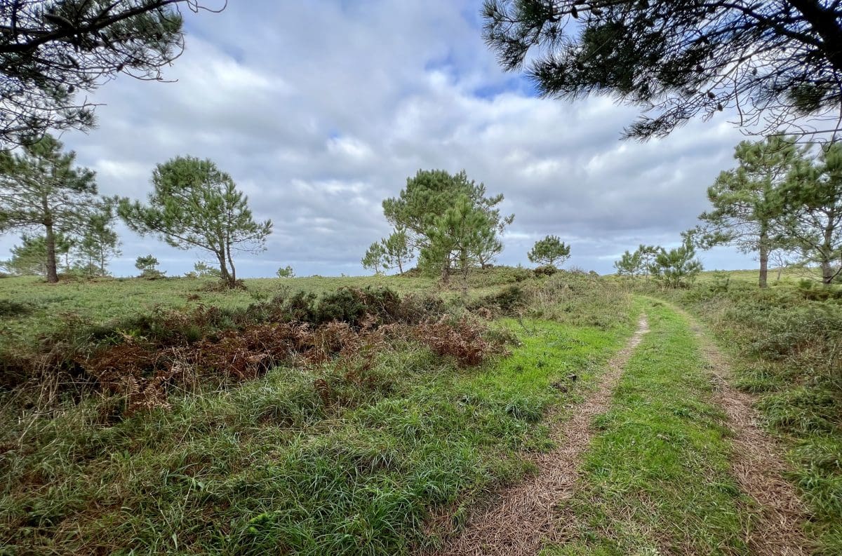 Camino Francés 2022 Days 40-46: Santiago de Compostela to Muxia