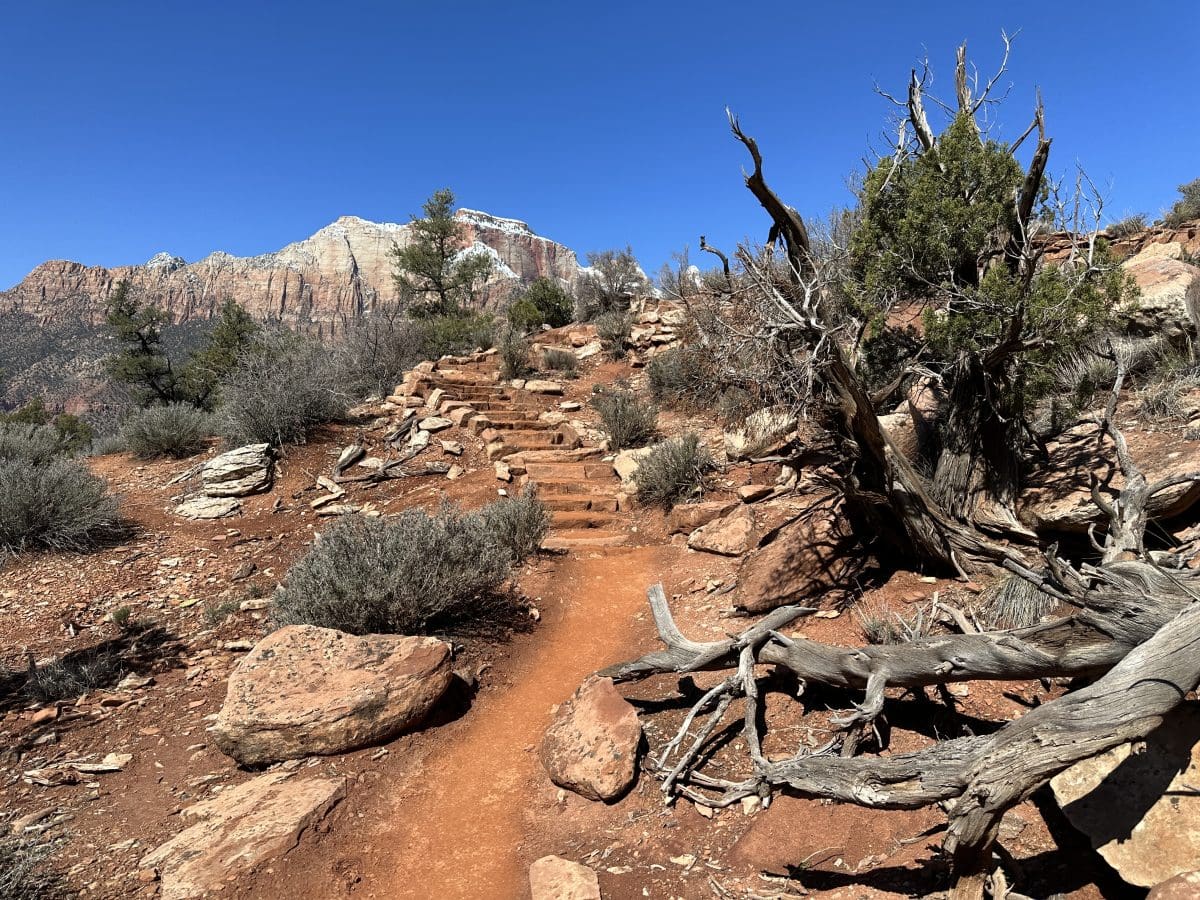 Utah 2023 – Zion National Park and Grand Staircase-Escalante National Monument