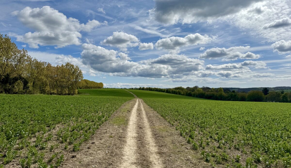 Via Francigena 2024/2025 Days 1-10: Canterbury to Arras